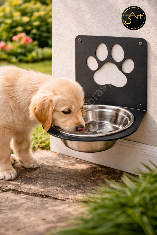 Duvara Monte Köpek Mama Kabı – Mama & Su Kabı , Yerden Tasarruf Sağlayan Askılı Sistem